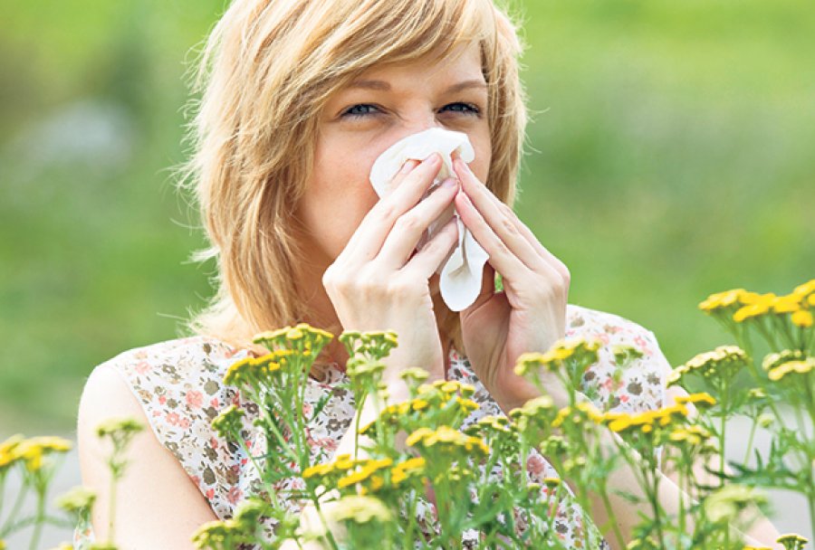 alergija-polen-ambrozija-kijanje
