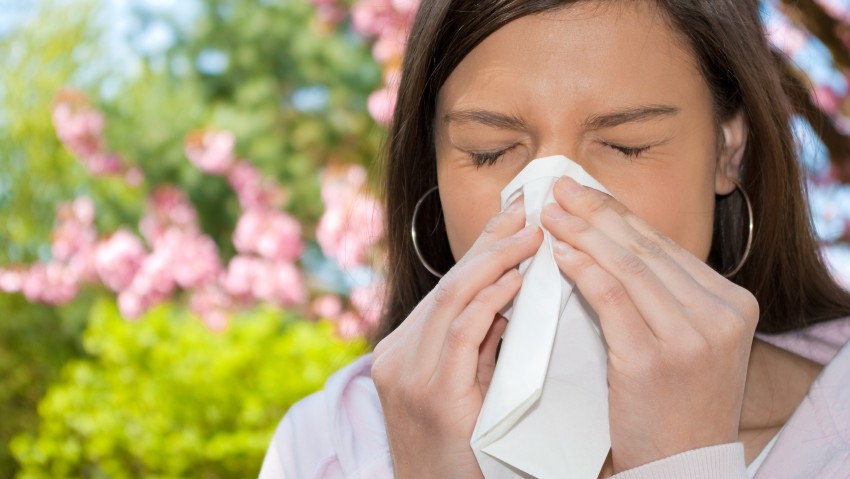 alergija prakticanzivotcom 1