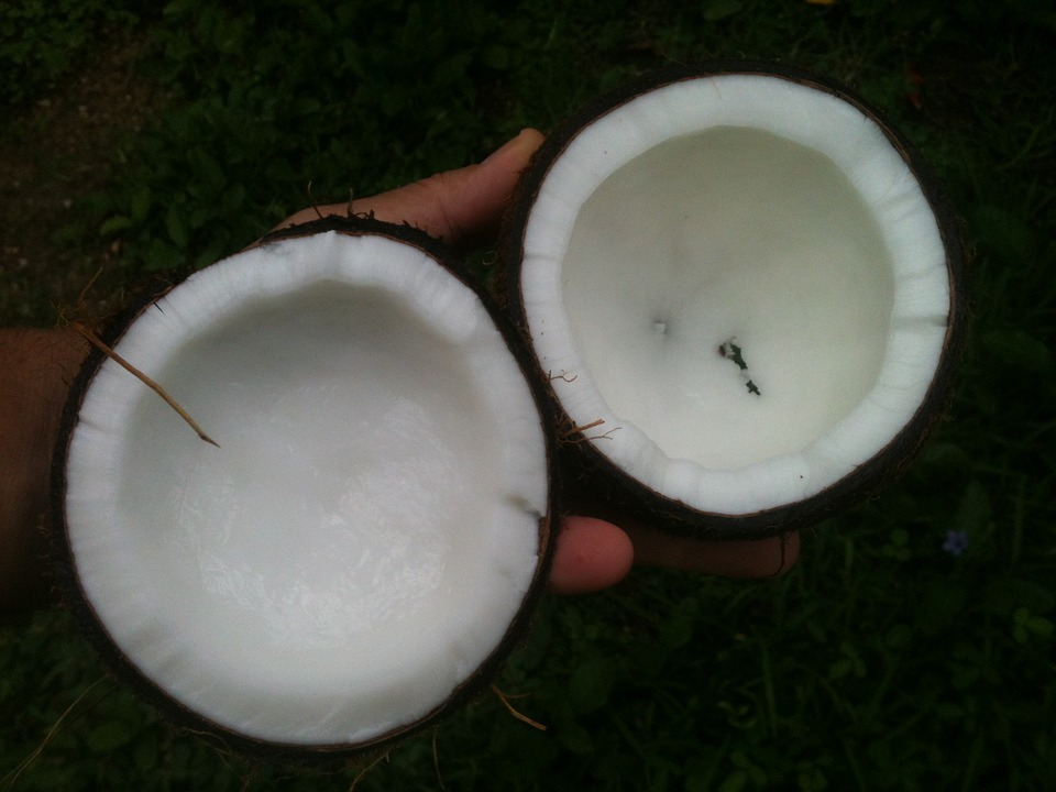 coconut 648105 960 720