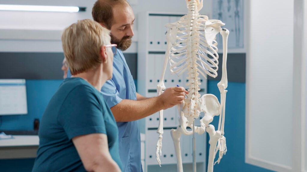 male doctor pointing human skeleton show spinal cord explain mechanical disorders rehabilitation cabinet specialist explaining back bones system physical therapy