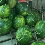 Crnogorci još jednom do suza nasmejali ceo Balkan: Pogledajte kako prodaju lubenice, ovo može samo kod nas (foto)