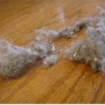 PRAŠINA U STANU ME NERVIRALA, A ONDA MI JE SVEKRVA DALA ODLIČAN RECEPT: Sad Čistim Kuću Trostruko Rjeđe, A SVE BLISTA PRAŠINA U STANU ME NERVIRALA, A ONDA MI JE SVEKRVA DALA ODLIČAN RECEPT: Sad Čistim Kuću Trostruko Rjeđe, A SVE BLISTA - featured image