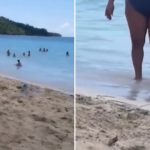 Snimak sa plaže koji ljudi gledaju po 10 puta zaredom: “Možete da kažete šta hoćete, ali ja joj skidam kapu” Snimak sa plaže koji ljudi gledaju po 10 puta zaredom: “Možete da kažete šta hoćete, ali ja joj skidam kapu” - featured image