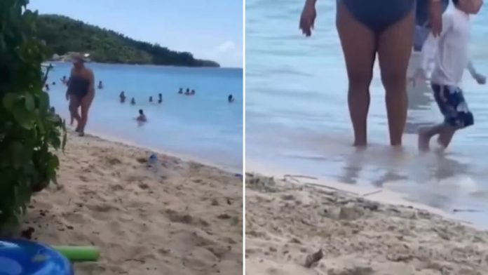 Snimak sa plaže koji ljudi gledaju po 10 puta zaredom: “Možete da kažete šta hoćete, ali ja joj skidam kapu” - featured image