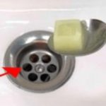 Bacite ga u sudoper i odvod se više nikada neće začepiti! (Neverovatno) Bacite ga u sudoper i odvod se više nikada neće začepiti! (Neverovatno) - featured image