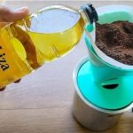 Uzmite obično ulje, ulijte ga u kafu i zapamtite ovaj savjet: Radim to svake godine i preporučujem svima! Uzmite obično ulje, ulijte ga u kafu i zapamtite ovaj savjet: Radim to svake godine i preporučujem svima! - featured image