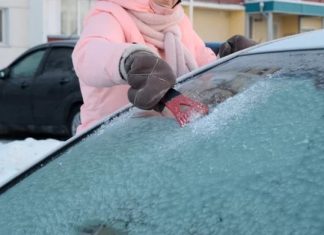 Stručnjaci savjetuju da već ovog vikenda stavite krastavac u svoj auto – EVO ZAŠTO Stručnjaci savjetuju da već ovog vikenda stavite krastavac u svoj auto – EVO ZAŠTO - featured image