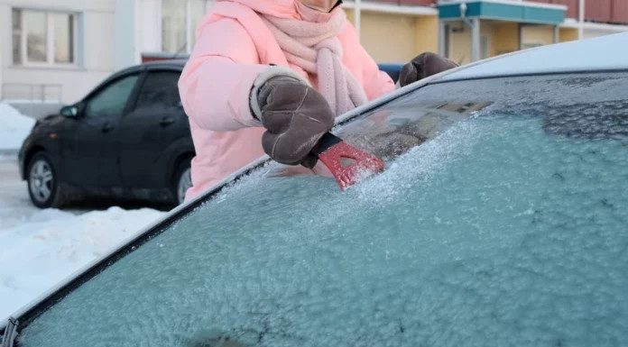Stručnjaci savjetuju da već ovog vikenda stavite krastavac u svoj auto – EVO ZAŠTO Stručnjaci savjetuju da već ovog vikenda stavite krastavac u svoj auto – EVO ZAŠTO - featured image