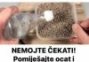 NEMOJTE ČEKATI! Pomiješajte ocat i lavandu i bit ćete mi zauvijek zahvalni NEMOJTE ČEKATI! Pomiješajte ocat i lavandu i bit ćete mi zauvijek zahvalni - featured image