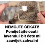 NEMOJTE ČEKATI! Pomiješajte ocat i lavandu i bit ćete mi zauvijek zahvalni NEMOJTE ČEKATI! Pomiješajte ocat i lavandu i bit ćete mi zauvijek zahvalni - featured image