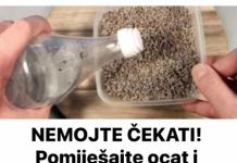 NEMOJTE ČEKATI! Pomiješajte ocat i lavandu i bit ćete mi zauvijek zahvalni NEMOJTE ČEKATI! Pomiješajte ocat i lavandu i bit ćete mi zauvijek zahvalni - featured image