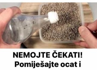 NEMOJTE ČEKATI! Pomiješajte ocat i lavandu i bit ćete mi zauvijek zahvalni NEMOJTE ČEKATI! Pomiješajte ocat i lavandu i bit ćete mi zauvijek zahvalni - featured image