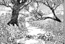 Mnogi su probali, ali RIJETKO KO USPIJE: Svako ko pronađe ženu na fotografiji ima natprosečnu inteligenciju! Mnogi su probali, ali RIJETKO KO USPIJE: Svako ko pronađe ženu na fotografiji ima natprosečnu inteligenciju! - featured image