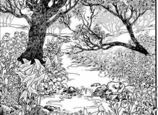 Mnogi su probali, ali RIJETKO KO USPIJE: Svako ko pronađe ženu na fotografiji ima natprosečnu inteligenciju! Mnogi su probali, ali RIJETKO KO USPIJE: Svako ko pronađe ženu na fotografiji ima natprosečnu inteligenciju! - featured image