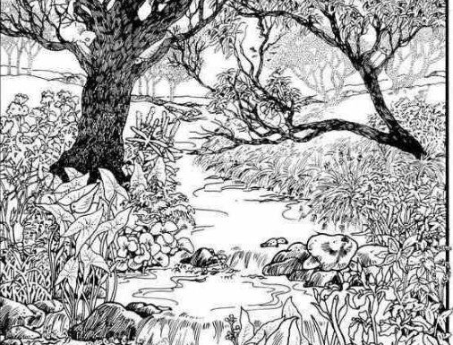 Mnogi su probali, ali RIJETKO KO USPIJE: Svako ko pronađe ženu na fotografiji ima natprosečnu inteligenciju! Mnogi su probali, ali RIJETKO KO USPIJE: Svako ko pronađe ženu na fotografiji ima natprosečnu inteligenciju! - featured image