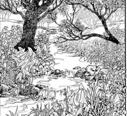 Mnogi su probali, ali RIJETKO KO USPIJE: Svako ko pronađe ženu na fotografiji ima natprosečnu inteligenciju! Mnogi su probali, ali RIJETKO KO USPIJE: Svako ko pronađe ženu na fotografiji ima natprosečnu inteligenciju! - featured image