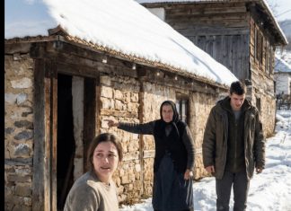 Svekrvin greh: Izbacila trudnu snahu na sneg zbog lažne optužbe Svekrvin greh: Izbacila trudnu snahu na sneg zbog lažne optužbe - featured image