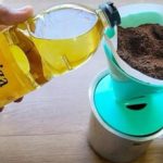 Uzmite obično ulje, ulijte ga u kafu i zapamtite ovaj savjet: Radim to svake godine i preporučujem svima! Uzmite obično ulje, ulijte ga u kafu i zapamtite ovaj savjet: Radim to svake godine i preporučujem svima! - featured image