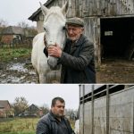 Prodao konja mesaru da plati dugove: Susret posle 5 godina ledi krv u žilama Prodao konja mesaru da plati dugove: Susret posle 5 godina ledi krv u žilama - featured image