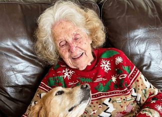 Svi su se svađali oko nasledstva, a istina me je čekala na ogrlici psa Svi su se svađali oko nasledstva, a istina me je čekala na ogrlici psa - featured image