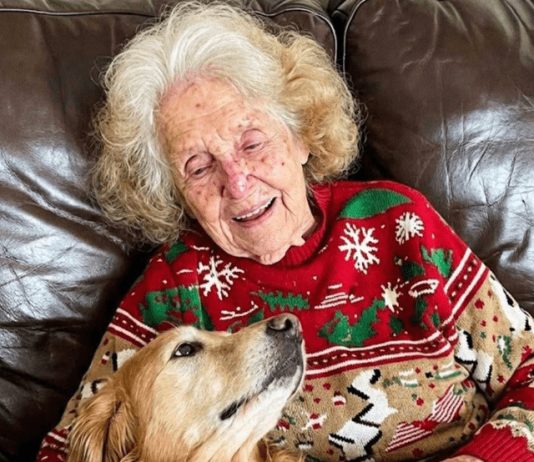 Svi su se svađali oko nasledstva, a istina me je čekala na ogrlici psa Svi su se svađali oko nasledstva, a istina me je čekala na ogrlici psa - featured image