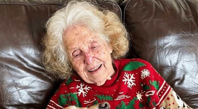 Svi su se svađali oko nasledstva, a istina me je čekala na ogrlici psa Svi su se svađali oko nasledstva, a istina me je čekala na ogrlici psa - featured image