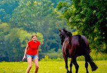 Ovaj video je šokirao ceo svet… Samo pogledajte šta je devojka uradila pastuhu… Ovaj video je šokirao ceo svet… Samo pogledajte šta je devojka uradila pastuhu… - featured image