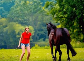 Ovaj video je šokirao ceo svet… Samo pogledajte šta je devojka uradila pastuhu… Ovaj video je šokirao ceo svet… Samo pogledajte šta je devojka uradila pastuhu… - featured image