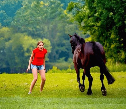 Ovaj video je šokirao ceo svet… Samo pogledajte šta je devojka uradila pastuhu… Ovaj video je šokirao ceo svet… Samo pogledajte šta je devojka uradila pastuhu… - featured image