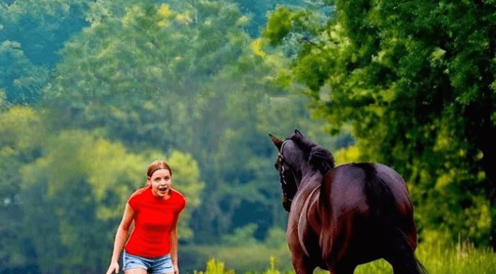 Ovaj video je šokirao ceo svet… Samo pogledajte šta je devojka uradila pastuhu… Ovaj video je šokirao ceo svet… Samo pogledajte šta je devojka uradila pastuhu… - featured image