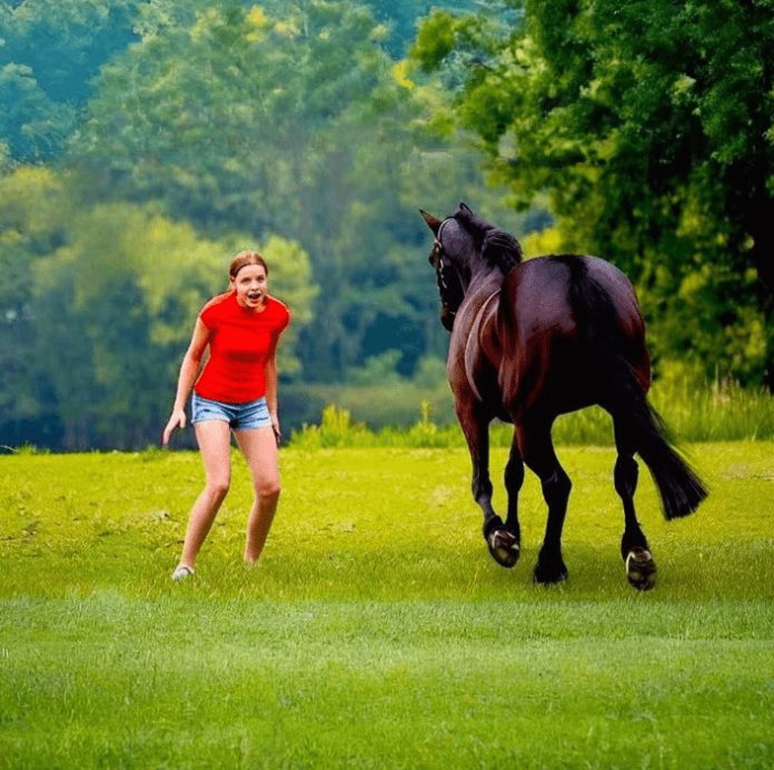 Ovaj video je šokirao ceo svet… Samo pogledajte šta je devojka uradila pastuhu… - featured image