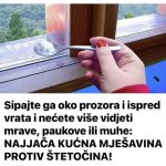 Sipajte ga oko prozora i ispred vrata i nećete više vidjeti mrave, paukove ili muhe: NAJJAČA KUĆNA MJEŠAVINA PROTIV ŠTETOČINA!