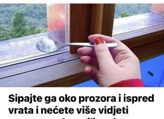 Sipajte ga oko prozora i ispred vrata i nećete više vidjeti mrave, paukove ili muhe: NAJJAČA KUĆNA MJEŠAVINA PROTIV ŠTETOČINA!