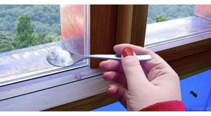 Sipajte ga oko prozora i ispred vrata i nećete više vidjeti mrave, paukove ili muhe: NAJJAČA KUĆNA MJEŠAVINA PROTIV ŠTETOČINA!