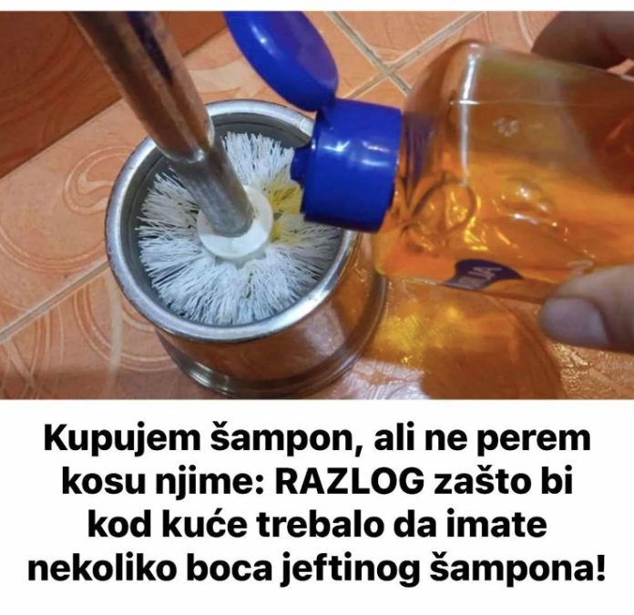 480206130_478203932020313_6028947616486826623_n (1)