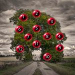 DRVO ŽELJA! ZAMISLITE JEDNU ŽELJU I IZABERITE 1 BROJ SA DRVETA: Evo da li će vam se želja ostvariti DRVO ŽELJA! ZAMISLITE JEDNU ŽELJU I IZABERITE 1 BROJ SA DRVETA: Evo da li će vam se želja ostvariti - featured image