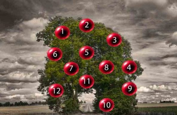 DRVO ŽELJA! ZAMISLITE JEDNU ŽELJU I IZABERITE 1 BROJ SA DRVETA: Evo da li će vam se želja ostvariti DRVO ŽELJA! ZAMISLITE JEDNU ŽELJU I IZABERITE 1 BROJ SA DRVETA: Evo da li će vam se želja ostvariti - featured image