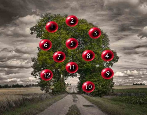 DRVO ŽELJA! ZAMISLITE JEDNU ŽELJU I IZABERITE 1 BROJ SA DRVETA: Evo da li će vam se želja ostvariti - featured image DRVO ŽELJA! ZAMISLITE JEDNU ŽELJU I IZABERITE 1 BROJ SA DRVETA: Evo da li će vam se želja ostvariti - featured image