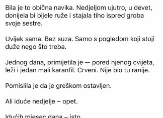 “Pet godina je dolazila na isti grob. A onda je jednog dana primijetila da neko ostavlja cvijet pored njenog.” “Pet godina je dolazila na isti grob. A onda je jednog dana primijetila da neko ostavlja cvijet pored njenog.” - featured image
