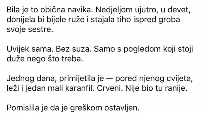 “Pet godina je dolazila na isti grob. A onda je jednog dana primijetila da neko ostavlja cvijet pored njenog.” “Pet godina je dolazila na isti grob. A onda je jednog dana primijetila da neko ostavlja cvijet pored njenog.” - featured image