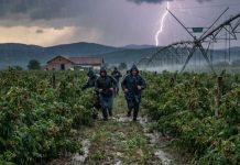 Išao sam da berem maline da skupim novac za majčinu operaciju – a tog dana sam skoro ostao bez svega Išao sam da berem maline da skupim novac za majčinu operaciju – a tog dana sam skoro ostao bez svega - featured image