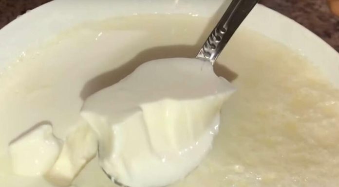 OVAJ BELI “OTROV” SVI JEDEMO I 3 PUTA JE GORI OD SLATKIŠA: Mislimo da je ZDRAV, a ovo je JEDINA SUROVA ISTINA! OVAJ BELI “OTROV” SVI JEDEMO I 3 PUTA JE GORI OD SLATKIŠA: Mislimo da je ZDRAV, a ovo je JEDINA SUROVA ISTINA! - featured image