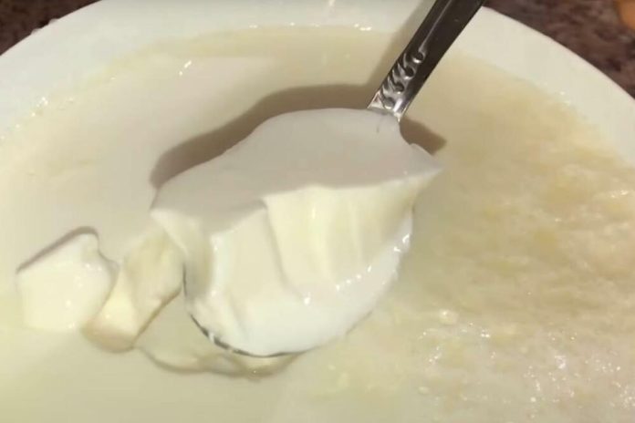 OVAJ BELI “OTROV” SVI JEDEMO I 3 PUTA JE GORI OD SLATKIŠA: Mislimo da je ZDRAV, a ovo je JEDINA SUROVA ISTINA! - featured image