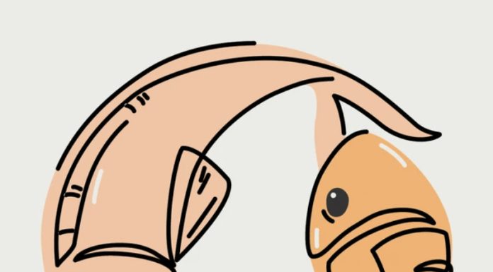 INDIJSKI ASTROLOG PROGNOZIRA: Ovi znaci u mjesecu MAJ skidaju PROKLETSTVO koje ih je godinama pratilo, briše se LOŠA KARMA. Evo da li ste i vi među njima INDIJSKI ASTROLOG PROGNOZIRA: Ovi znaci u mjesecu MAJ skidaju PROKLETSTVO koje ih je godinama pratilo, briše se LOŠA KARMA. Evo da li ste i vi među njima - featured image