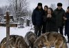 Prilikom sprovoda sedmogodišnjeg dječaka vukovi su se pojavili niotkuda i počeli kopati svjež grob. Prisutni su panično pokušali otjerati životinje, sve dok dječakov otac iznenada nije naredio da se grob odmah iskopa. 😱 I onda… Prilikom sprovoda sedmogodišnjeg dječaka vukovi su se pojavili niotkuda i počeli kopati svjež grob. Prisutni su panično pokušali otjerati životinje, sve dok dječakov otac iznenada nije naredio da se grob odmah iskopa. 😱 I onda… - featured image