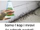 Samo 1 kap i mravi će odmah nestati: Najefikasniji kućni TRIK! Samo 1 kap i mravi će odmah nestati: Najefikasniji kućni TRIK! - featured image