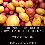 STRUČNJACI OTKRILI DA LI JE BOLJI CRVENI ILI BIJELI KROMPIR: Razlika je velika, a ovaj je zdraviji STRUČNJACI OTKRILI DA LI JE BOLJI CRVENI ILI BIJELI KROMPIR: Razlika je velika, a ovaj je zdraviji - featured image