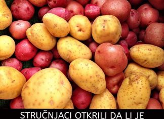 STRUČNJACI OTKRILI DA LI JE BOLJI CRVENI ILI BIJELI KROMPIR: Razlika je velika, a ovaj je zdraviji STRUČNJACI OTKRILI DA LI JE BOLJI CRVENI ILI BIJELI KROMPIR: Razlika je velika, a ovaj je zdraviji - featured image