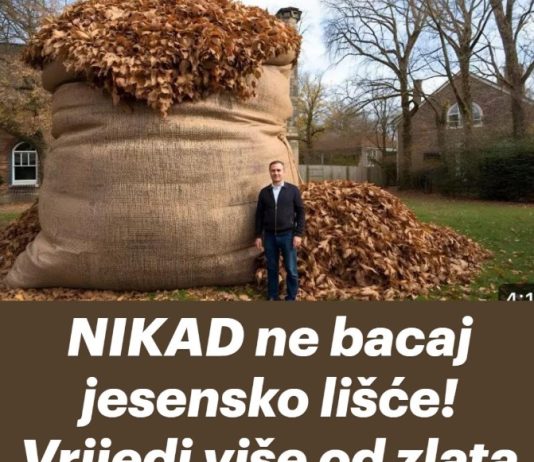 NIKAD ne bacaj jesensko lišće! EVO ZAŠTO NIKAD ne bacaj jesensko lišće! EVO ZAŠTO - featured image