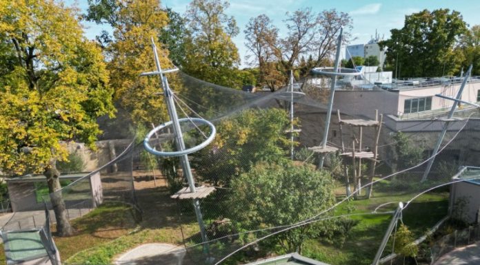Vrisci odzvanjali zoološkim vrtom! Trogodišnjak bačen krokodilima – šta se ovo dešava?! Vrisci odzvanjali zoološkim vrtom! Trogodišnjak bačen krokodilima – šta se ovo dešava?! - featured image